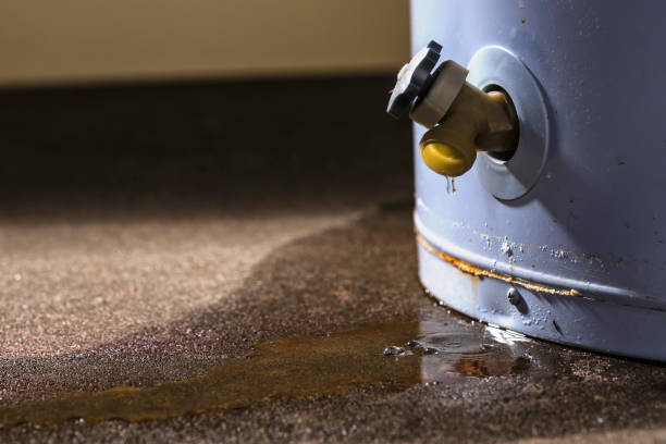 Best Water damage restoration near me  in San Carlos, TX