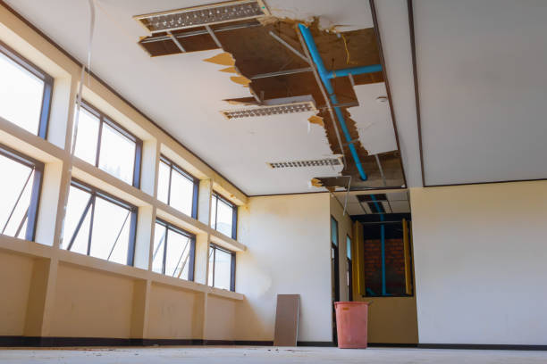 Best Mold removal after water damage  in San Carlos, TX
