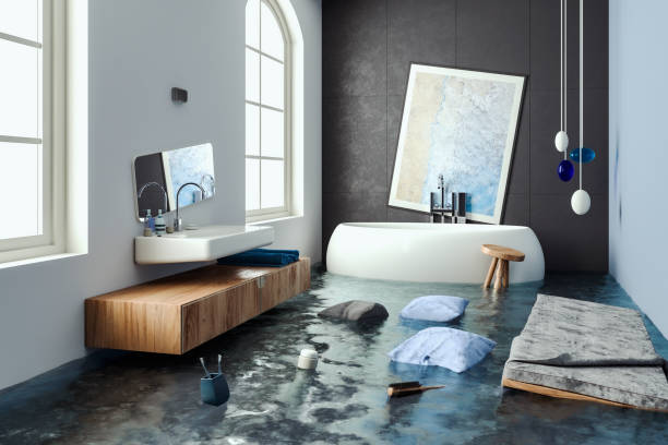  San Carlos, TX Water damage restoration Pros