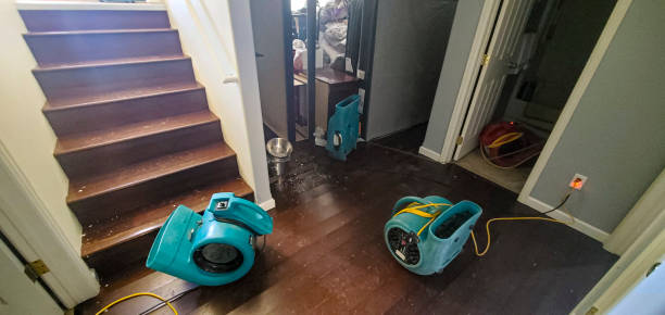 Best Sewage cleanup and water damage restoration  in San Carlos, TX