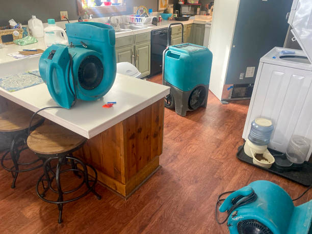 Best Local water damage restoration  in San Carlos, TX