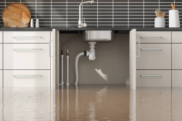 Best 24-hour water damage restoration  in San Carlos, TX