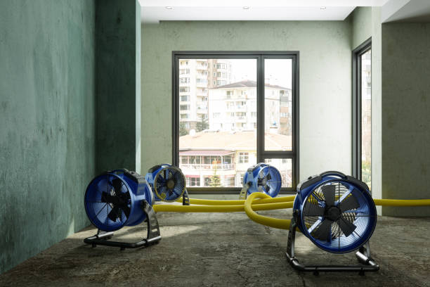 Best Water damage mitigation services  in San Carlos, TX